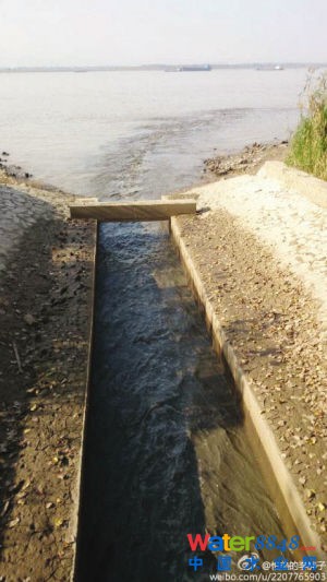 魚嘴濕地公園污水直排長江?環(huán)保部門:泵站放水沖污泥